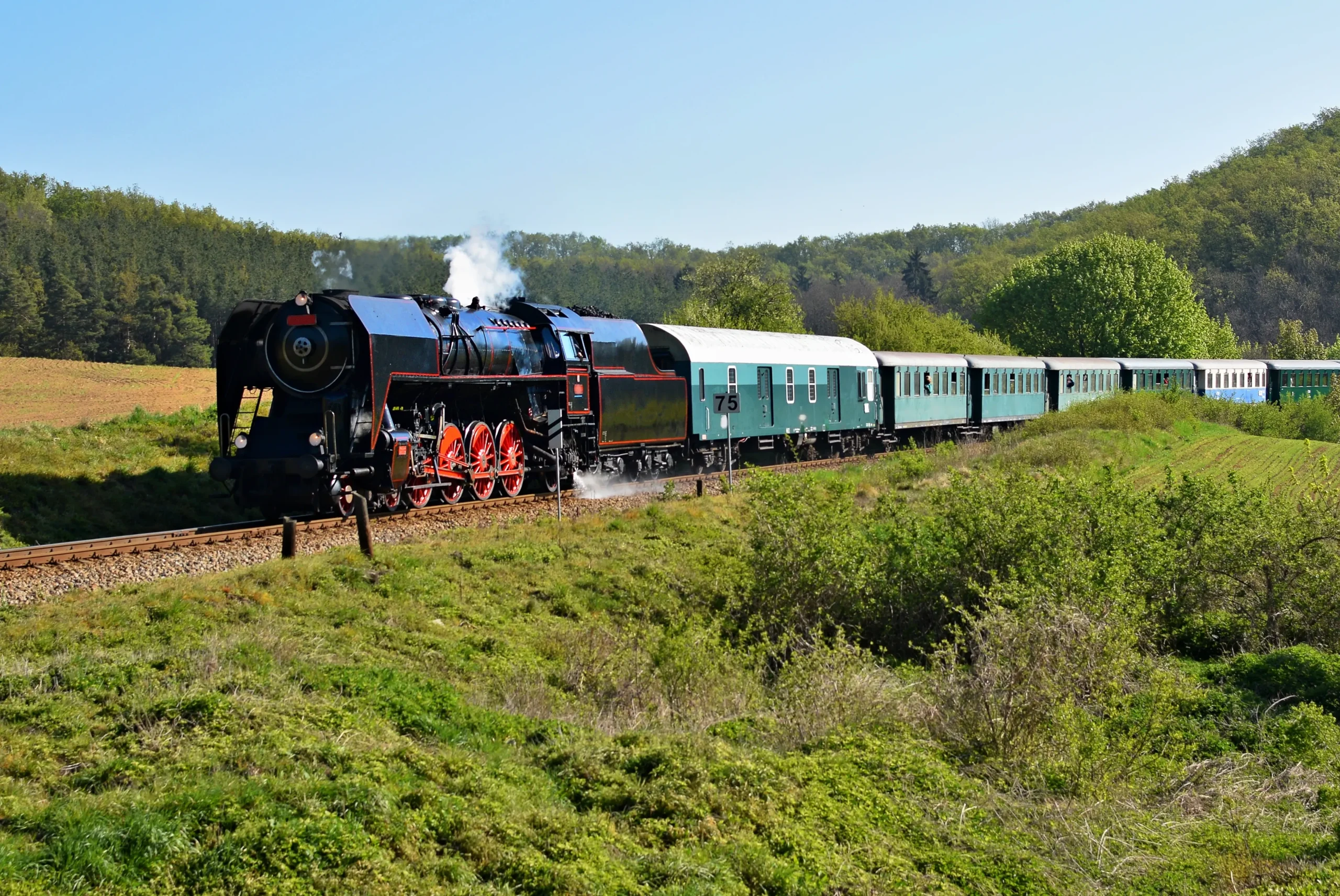Train Accident claim assessment